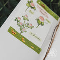 Load image into Gallery viewer, Washi Tape - Green
