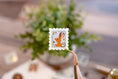Load image into Gallery viewer, Washi & Gold Foil Stamp Stickers

