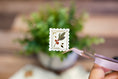 Load image into Gallery viewer, Washi & Gold Foil Stamp Stickers
